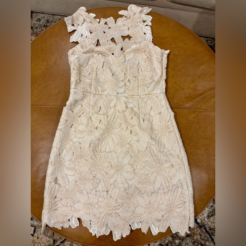 SAYLOR  Cream Floral Lace Backless Halter Dress - Picture 2 of 13